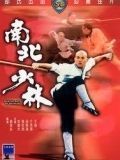 Thiếu Lâm Nam Phái
