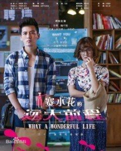 Tiền Đồ Rộng Lớn Của Tái Tiểu Hoa 