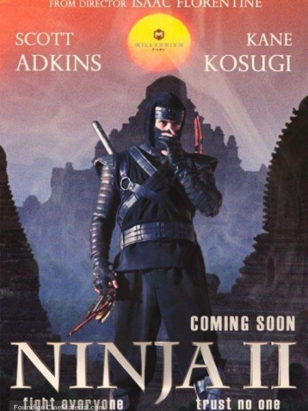 Ninja Báo Thù 