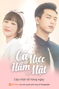 Cá Mực Hầm Mật 