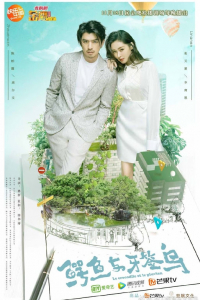 Cá Sấu Và Chim Choi Choi 