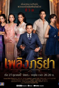 Nỗi Hận Người Vợ 