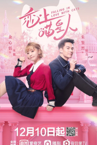 Yêu Phải Nàng Meo Tinh 