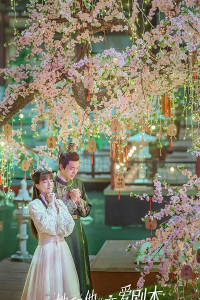 Kịch Bản Yêu Đương Của Nàng Và Chàng 