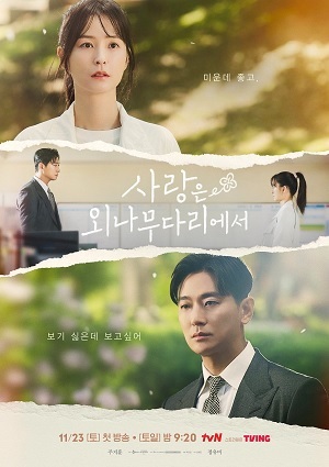 Tình Yêu Oan Trái | Love Your Enemy (2024)